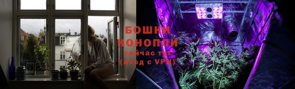 ECSTASY Лагань