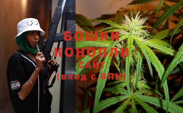стаф Козельск