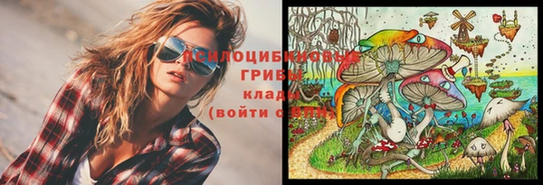 стаф Козельск