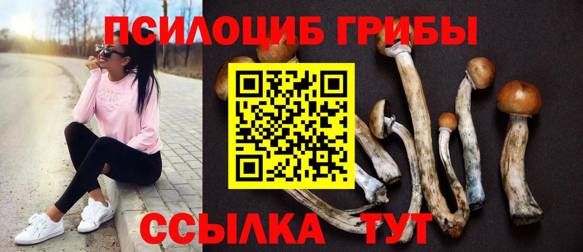 Галлюциногенные грибы мухоморы Россошь