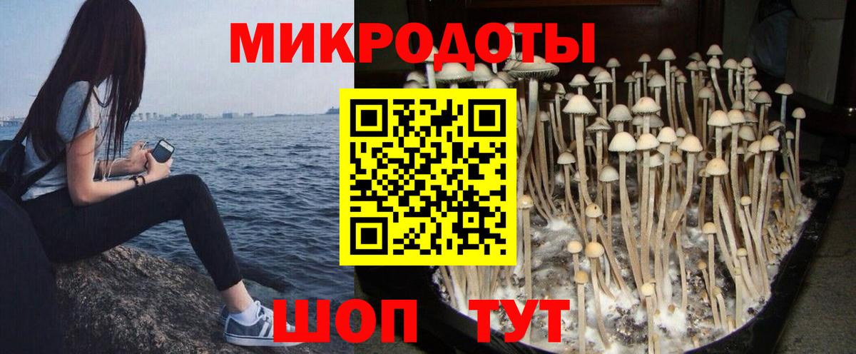 Псилоцибиновые грибы Cubensis  Вход с VPN  Россошь 