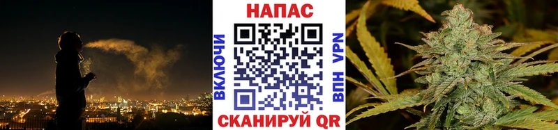 Марихуана SATIVA & INDICA  Россошь 